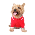 Front view red polo dog t-shirt